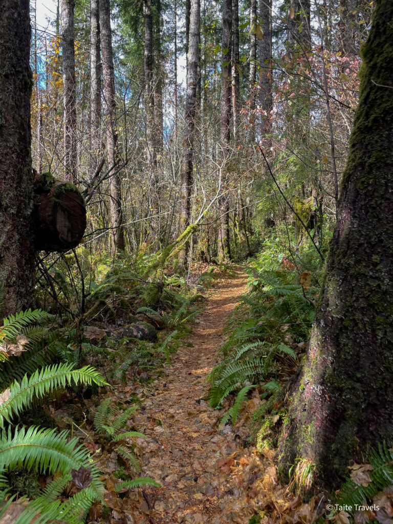 Schafer State Park