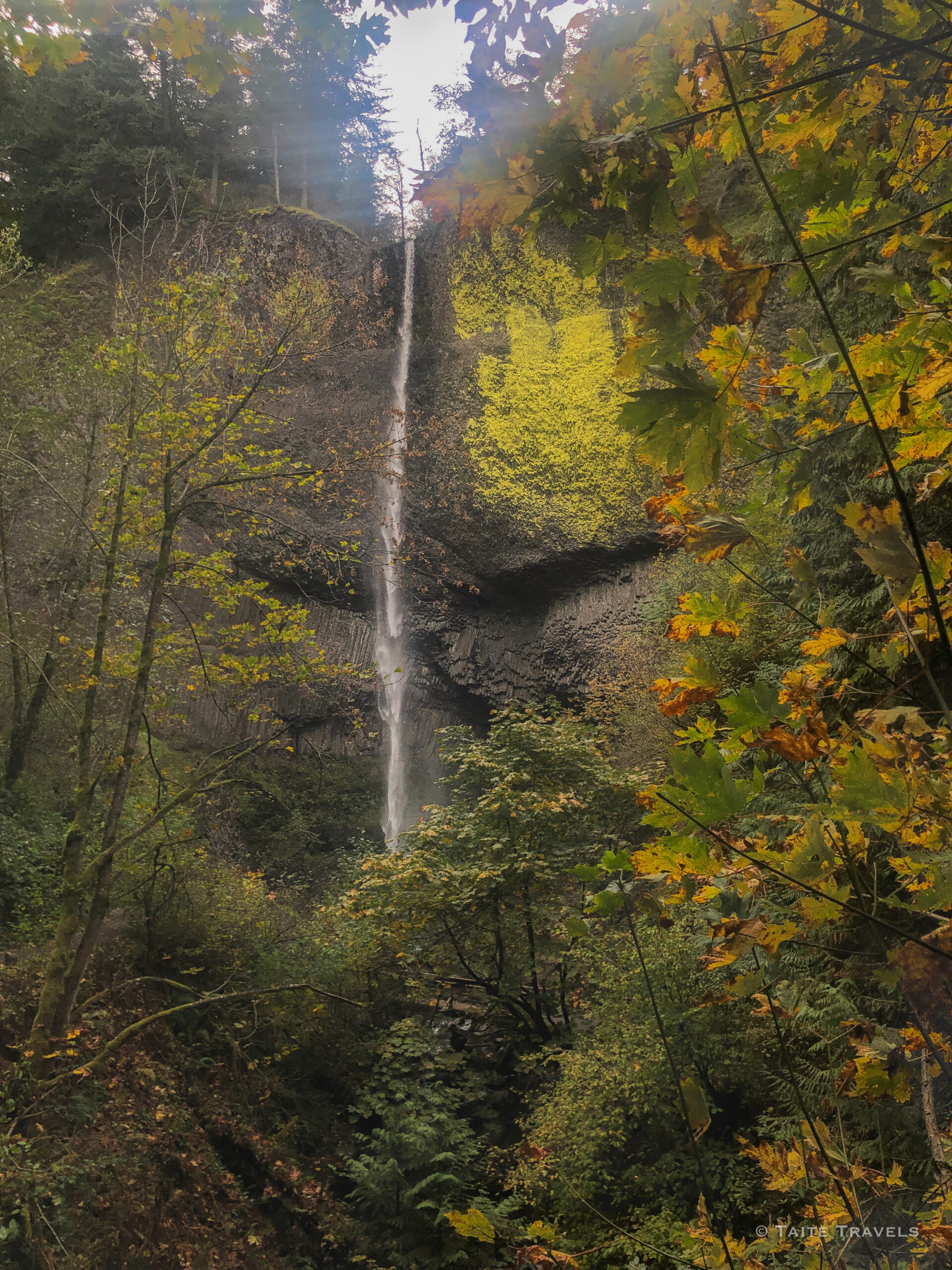 Latourell Falls Columbia River, Oregon