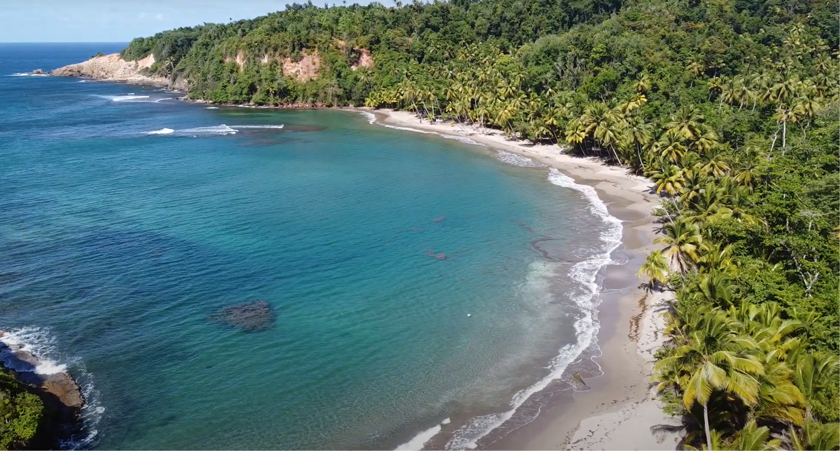 Aerial View of a beach in Dominica