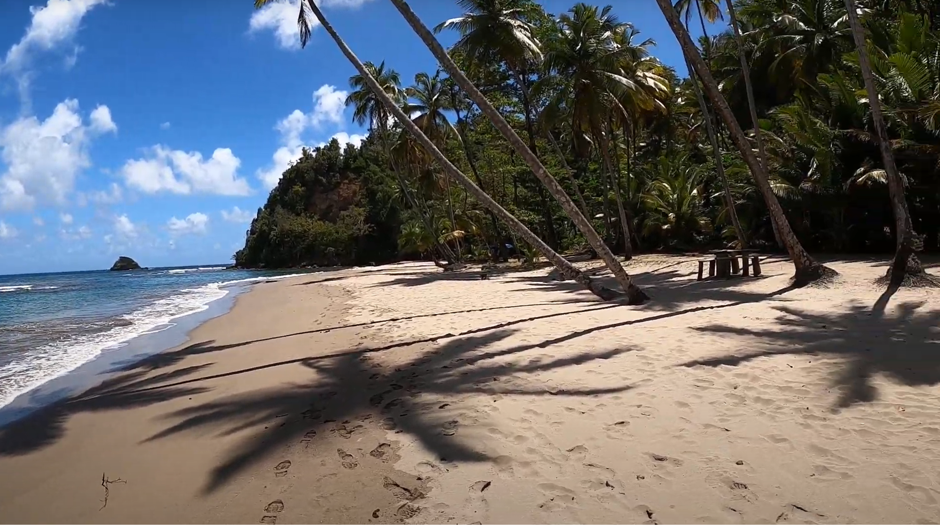 A wide view of Batibou Beach in Dominica shows the palm trees leaning towards the ocean.