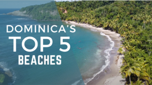 Dominica's Top 5 Beaches