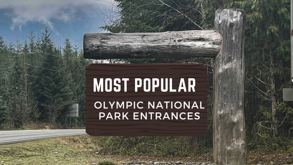 Popular Olympic National Forest Entrances