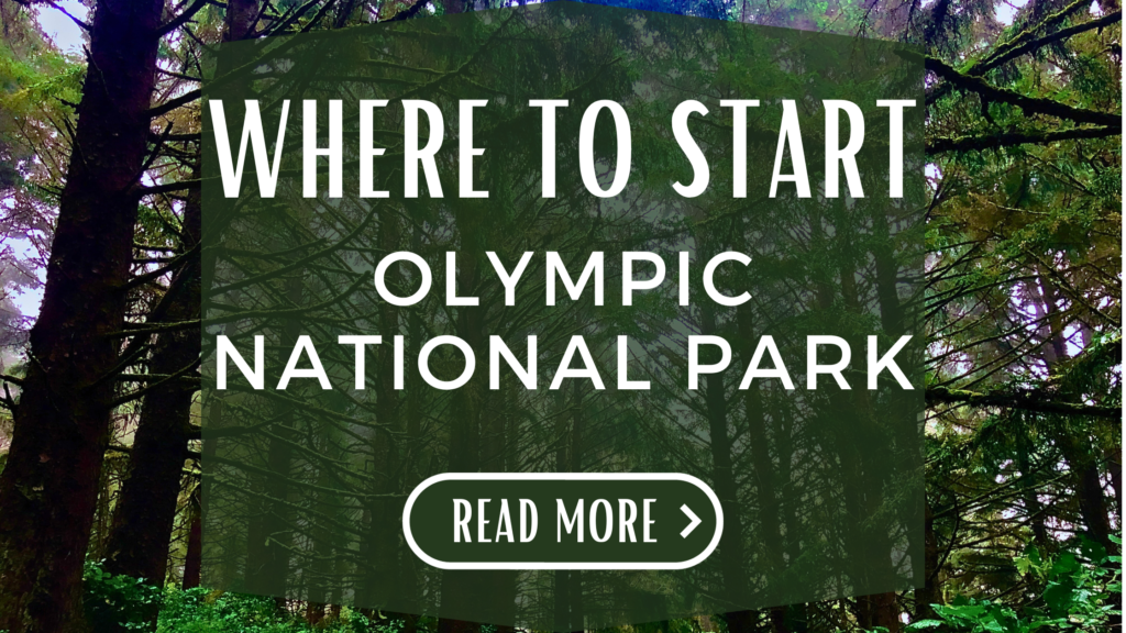 Where To Start Olympic National Park