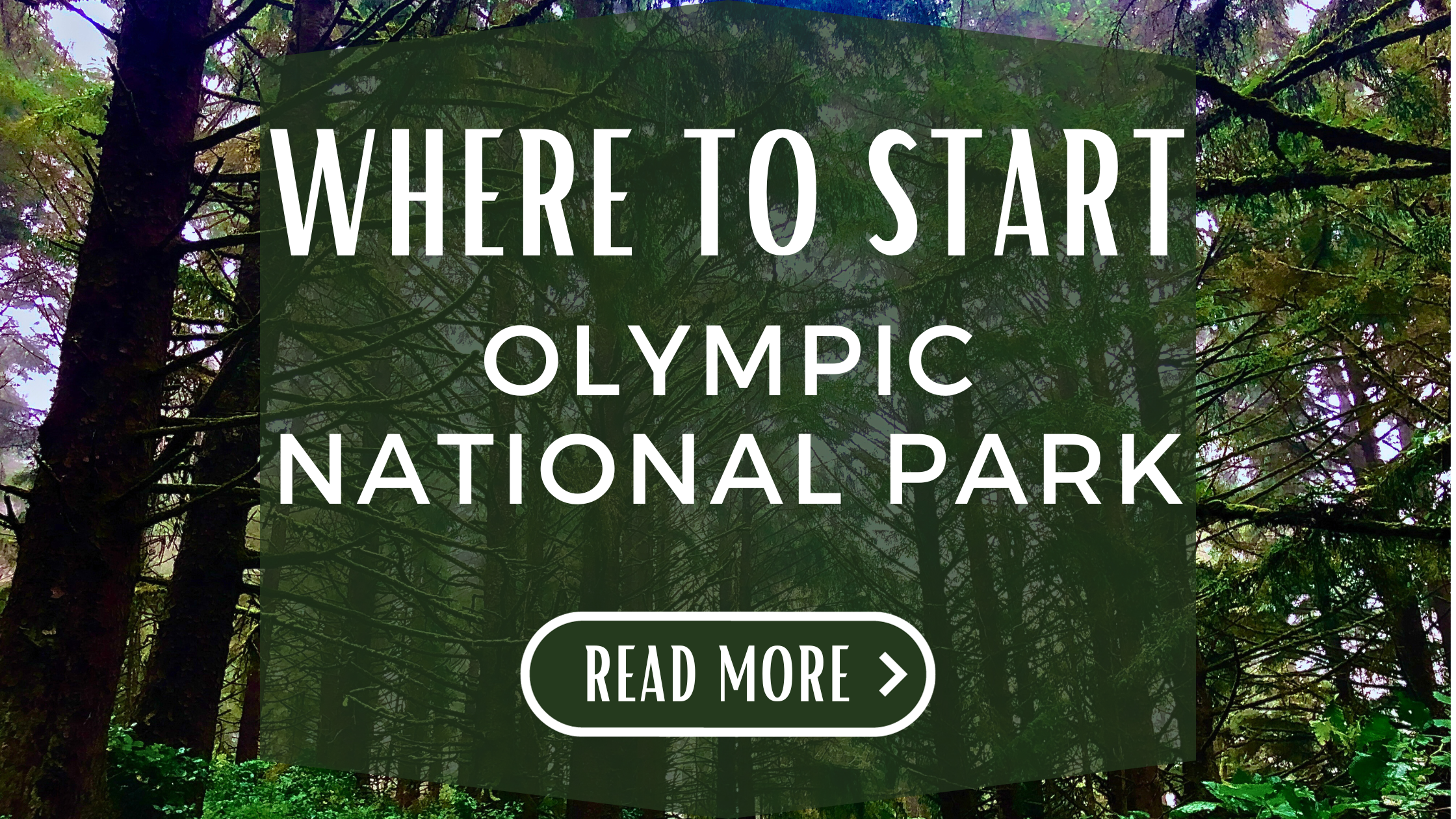 Where To Start Olympic National Park