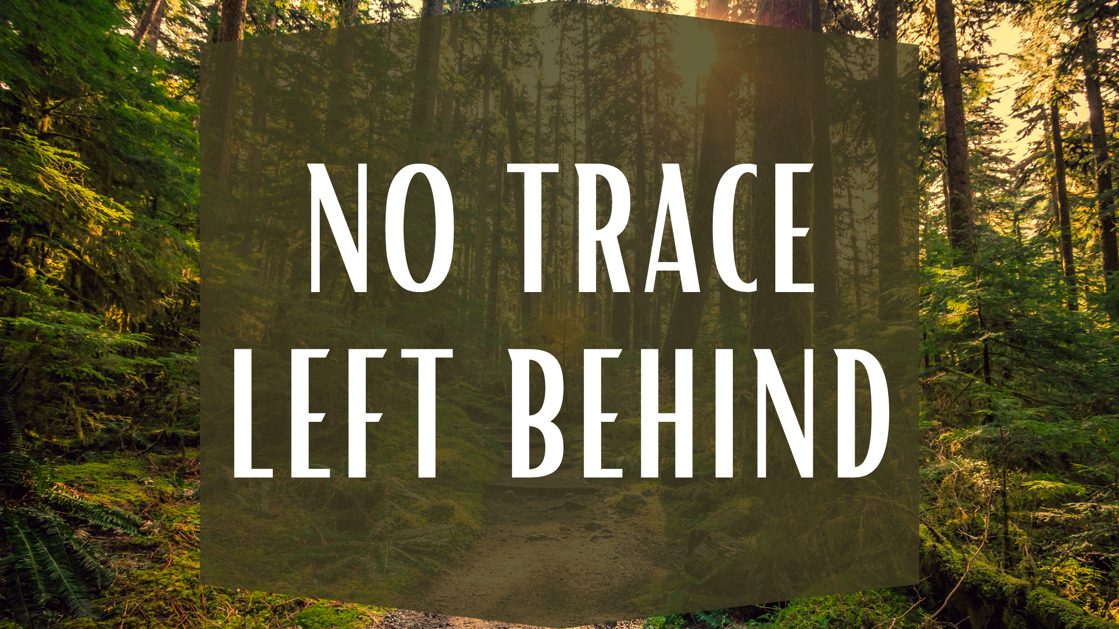 No Trace Left Behind