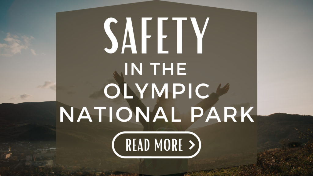 Safety In The Olympic National Park