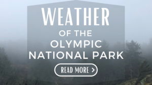 Weather Of The Olympic National Park