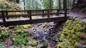 Sol Duc Falls Washington