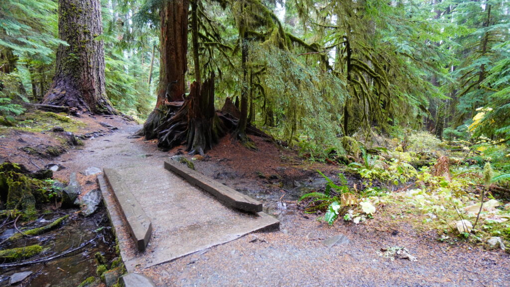 Sol Duc Falls Washington