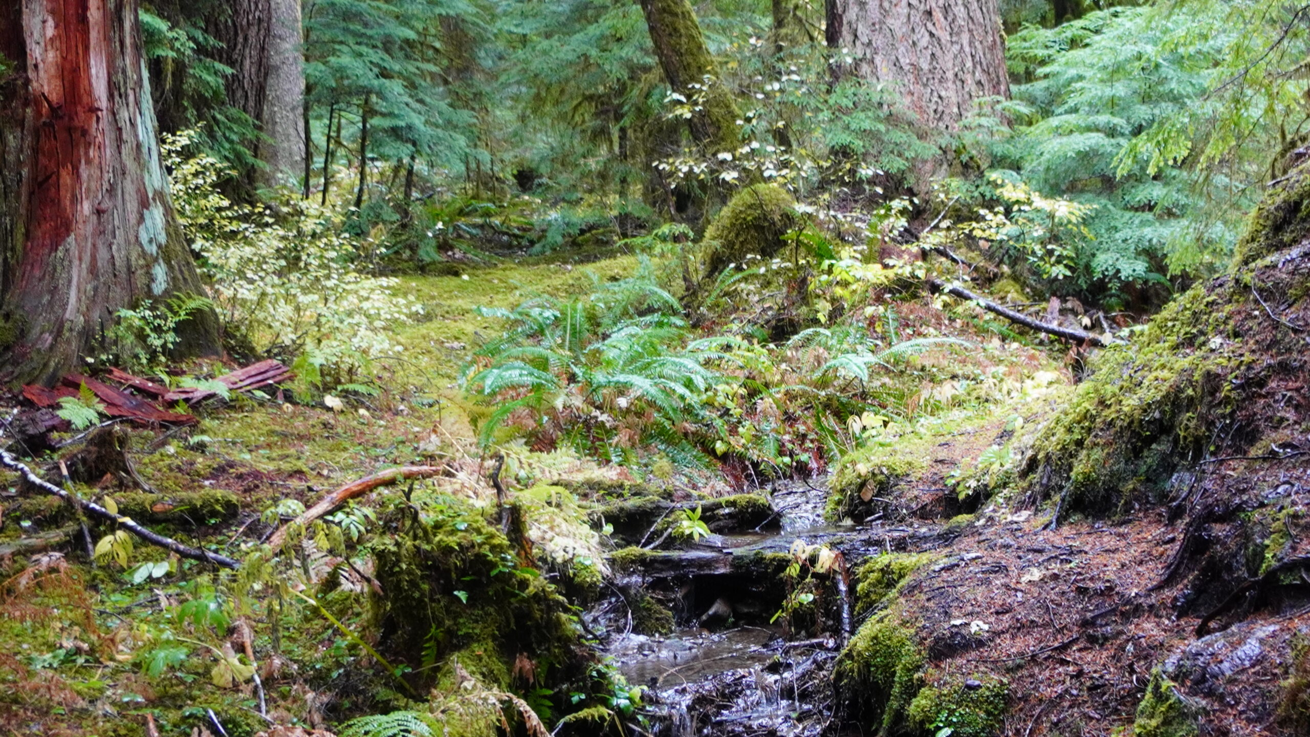 Sol Duc Falls Washington