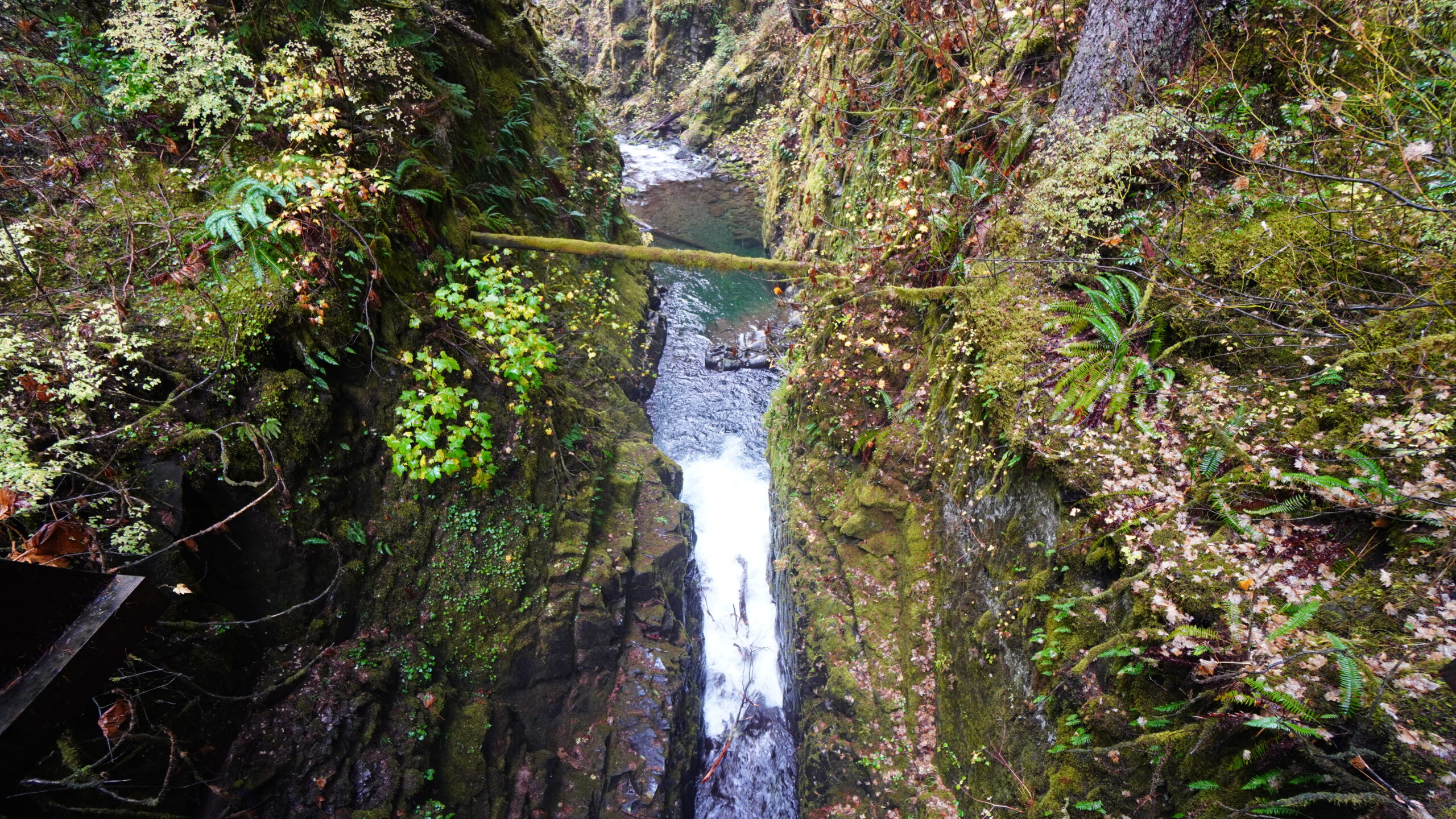 Sol Duc Falls Washington