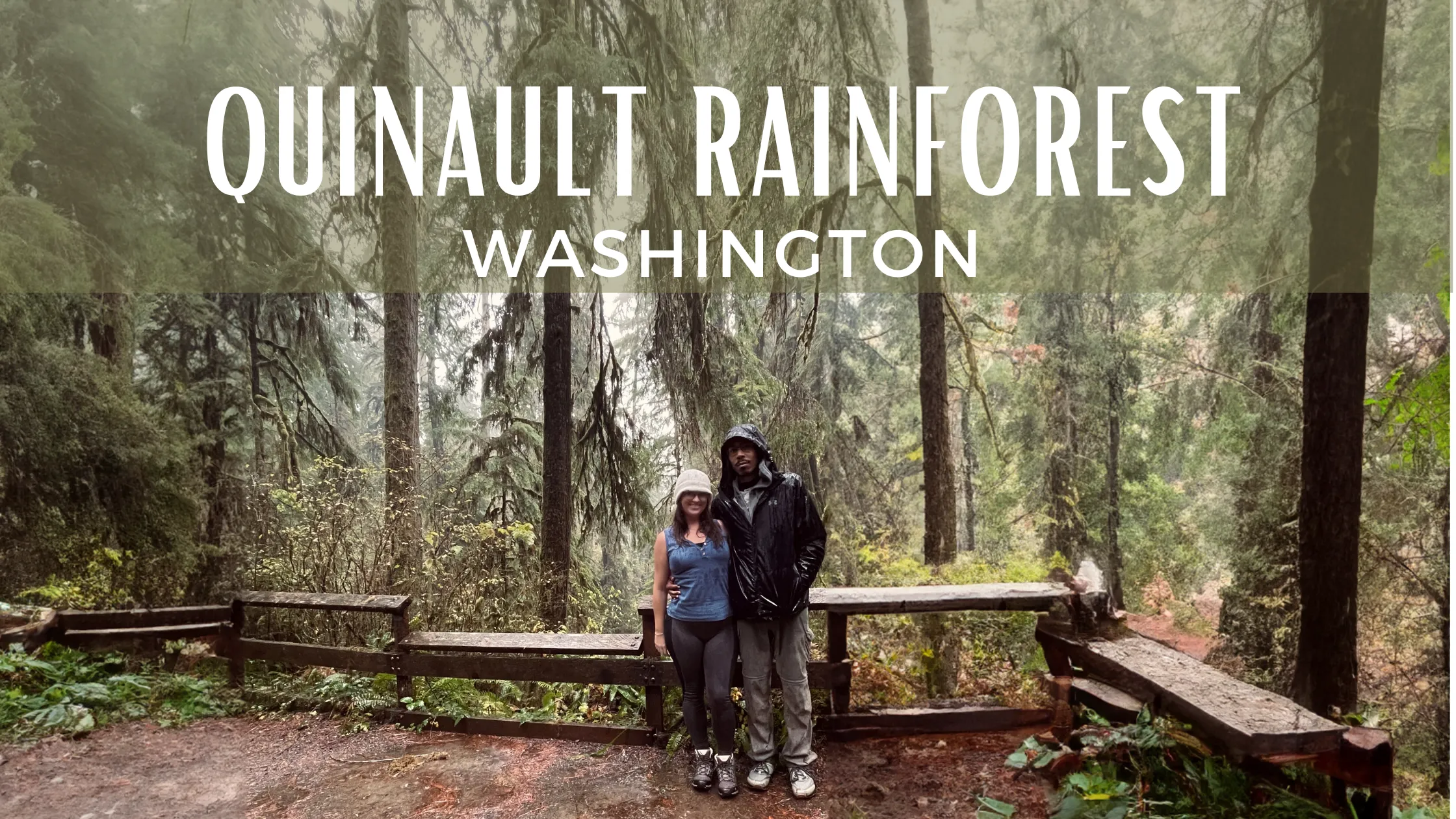 Quinault Rainforest