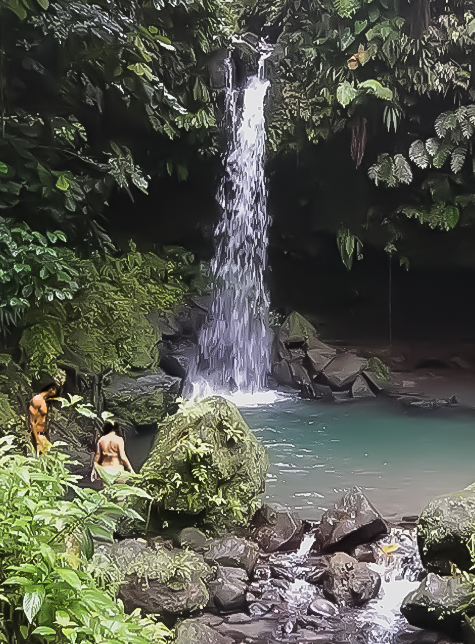 Emerald Pool Dominica