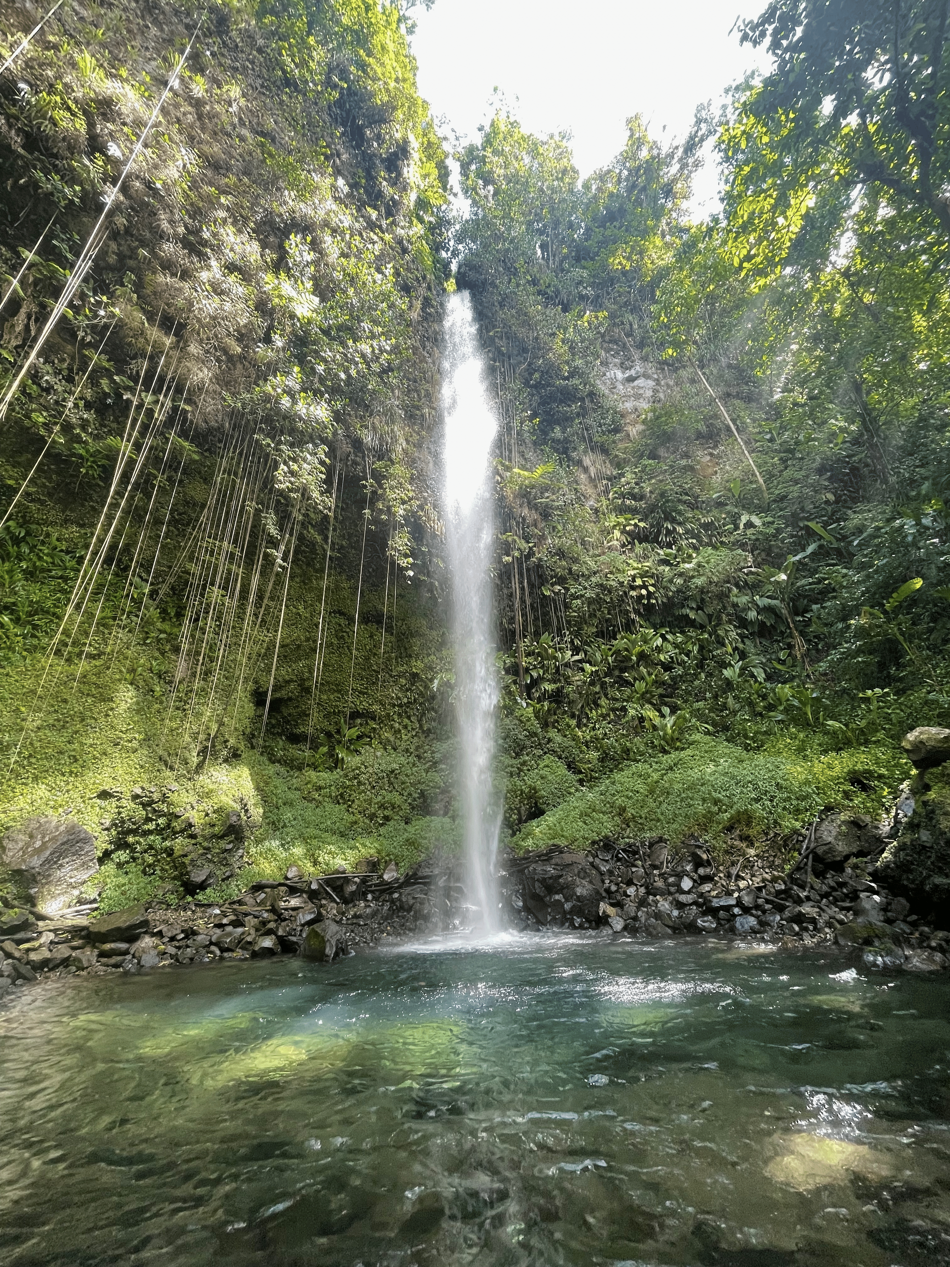 Salton Falls Dominica