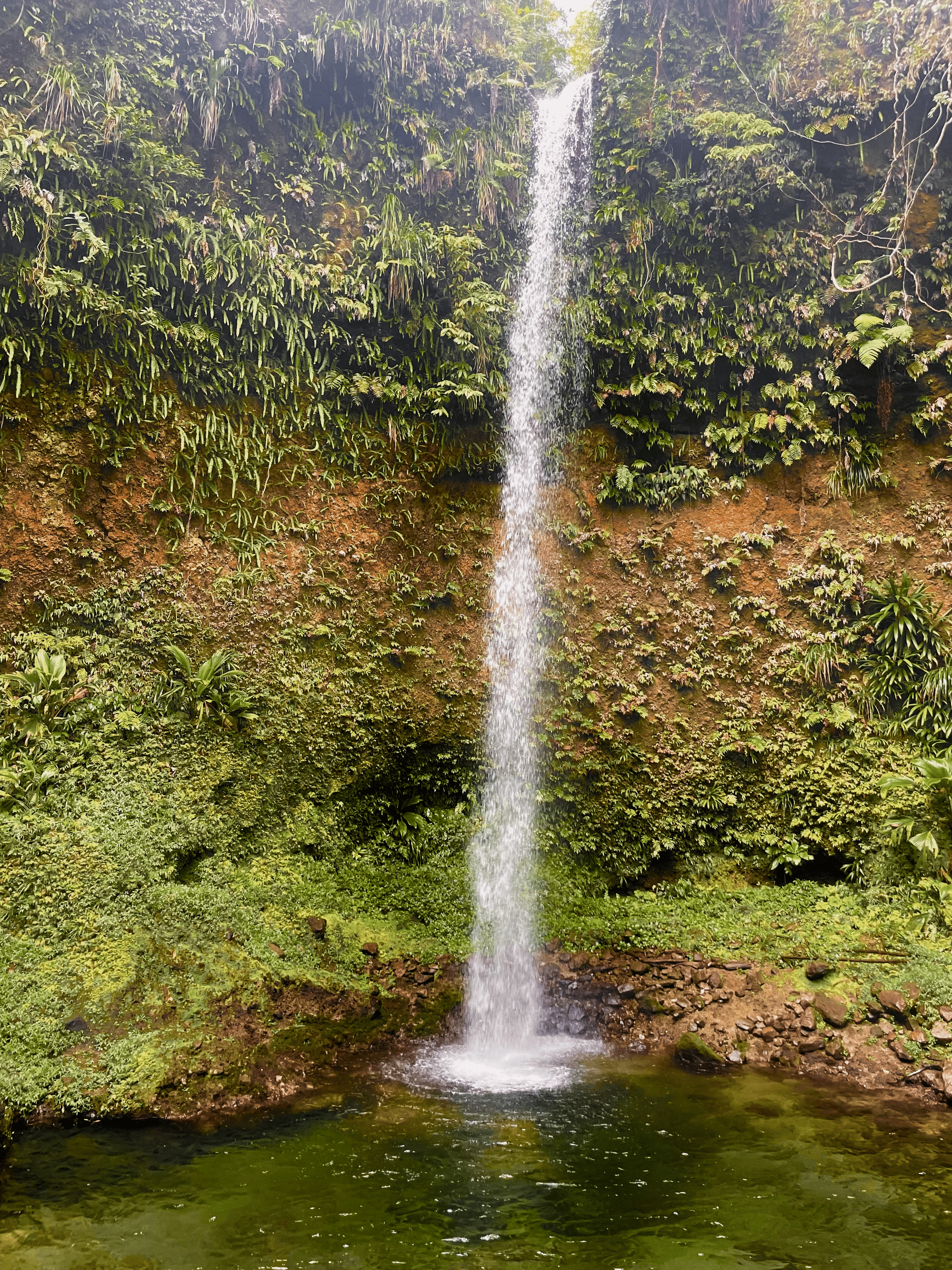 Spanny Falls Dominica