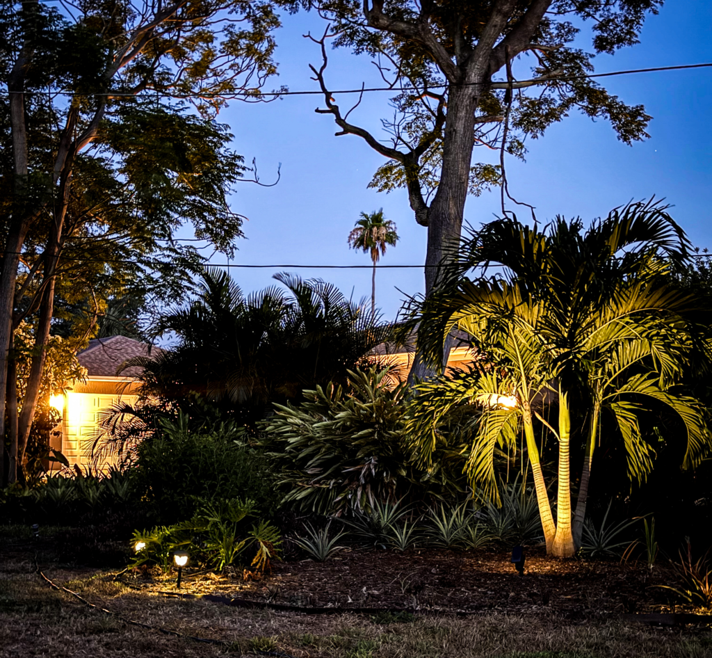 Backyard Landscape St. Petersburg June 2024