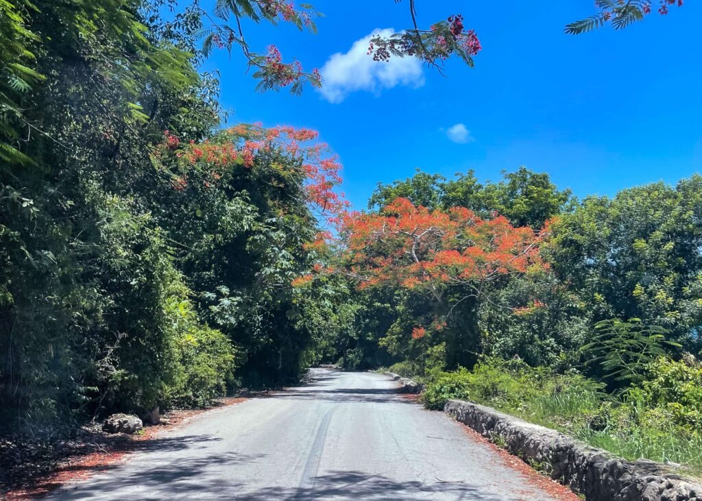 Puerto Rico Road