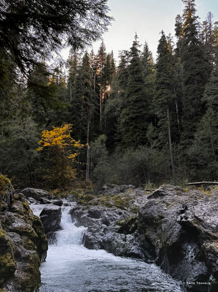 Salmon Cascades Washington