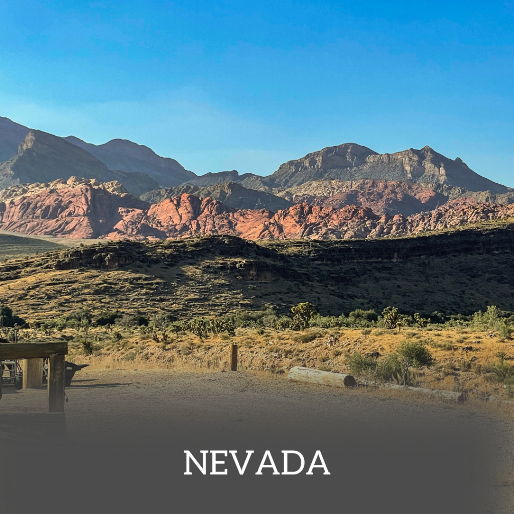 Nevada Feature