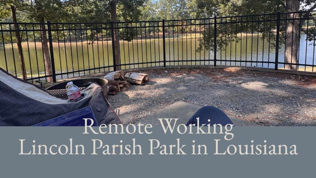 Remote Working in LA