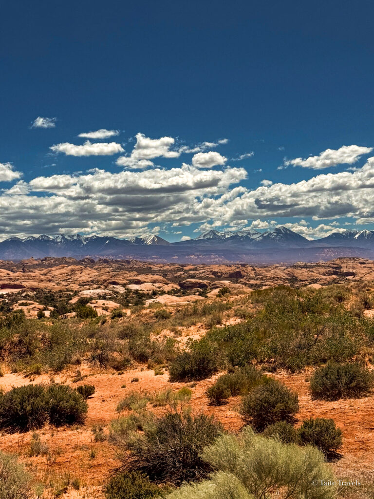 Petrified Sand Dunes at Arches